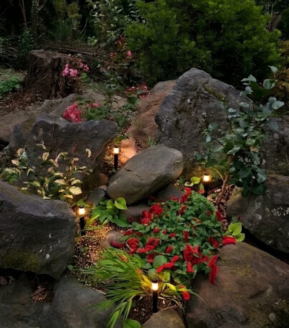 A modern Japanese garden with natural rocks, lush planting, and warm garden lighting at night.